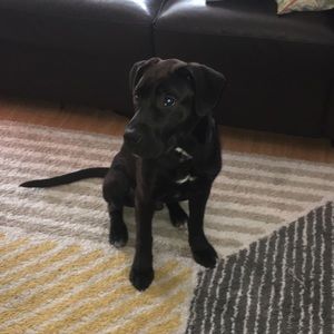 Meet your Posher, Reed